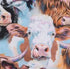 Cow Portrait Cotton Calico Fabric - Holstein, Hereford, Highland Cattle Precut Fabric by The Yard - One Yard...