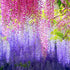 DearHouse 12 Pack 1 Piece 3.6 Feet Artificial Fake Wisteria Vine Ratta Hanging Garland Silk Flowers String Home Party Wedding Decor (Pink)...