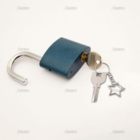 AUEAR, 60 Pack Silver Star Shaped Spring Snap Keychains Clip Metal Key Chains Pentagram Hanging...