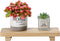 Pine Wood Riser for Home Decor, Small Plant Stands, Decorative Wood Risers, Wood Pedestal Stand, Rustic Wooden Trays for Kitchen Counters (11.8x4....