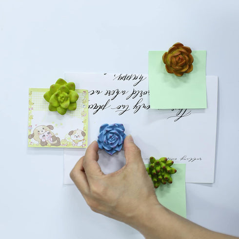 Plant Pattern 3D Resin Succulent Fridge Refrigerator Magnets, White Board Magnets for Home Refrigerator Office Display Board, Set of 8...