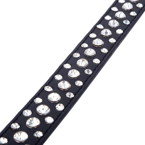 Dogs Kingdom 10"-24" Length Personalized Rhinestone Leather Bling Crystal Pet Dog Cat Collars for Small Medium Breeds Black XL...