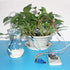 Automatic Irrigation DIY Kit Self Watering System with Capacitive Soil Moisture Sensor 1 Channel 5V Relay Module and Water Pump + 1M Vinyl Tubing ...