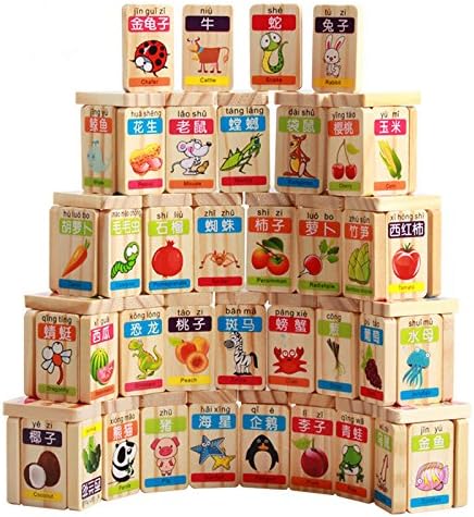 New Chinese English Language Learning Wooden Blocks Domino Children's Educational Product Wooden Toys Recognize/Identify Fruits and Animals 100pcs...