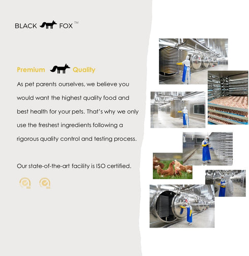 BLACK FOX Freeze-Dried Egg Yolk Dog Treats | Topper | Cat Treats | 4oz Single Ingredient, Raw, Healthy, All Natural, Human Grade, Recyclable Packa...