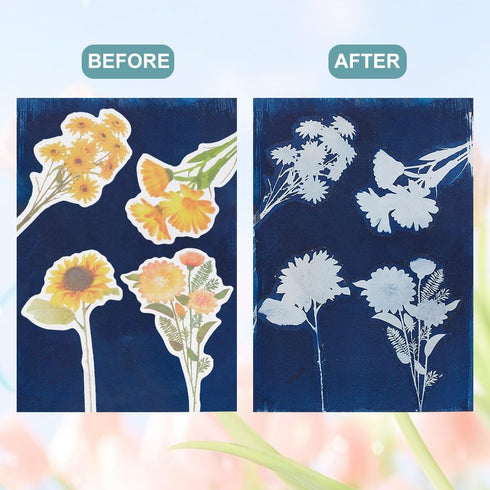 WEBEEDY 30 Sheets Cyanotype Paper Sun Print Paper Kit Sunflower Daisy Sun Art Papers,Flower High Sensitive Cyanotype Papers Nature Printing Paper ...