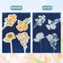 WEBEEDY 30 Sheets Cyanotype Paper Sun Print Paper Kit Sunflower Daisy Sun Art Papers,Flower High Sensitive Cyanotype Papers Nature Printing Paper ...