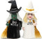 Pacific Trading Good Witch and Bad Witch Magnetic Ceramic Salt & Pepper Shakers 8607...