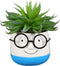 PRETYZOOM Ceramic Plant Pot Eyeglasses Design: Bonsai Pot Flower Pot Succulent Planter Plant Container Pen Brush Holder Cup...