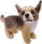 Lifelike Chihuahua Stuffed Animal Animated Plush Puppy Toy Doll Super Realistic Dogs Act Like Real Excellent Gifts for Kids Birthday Party Dog Col...