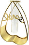 Gold Plastic and Metal Propagation Station with Hydroponic Bottle...