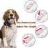 Lavender Purple Retractable Dog Leash 10 ft for Small and Medium Dogs and Cats, One Button Brake, Pause, Lock by LFCXHTY...