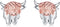 Highland Cow Stud Earrings for Womens 925 Sterling Silver Western Cow Earring Rose Gold Cow Jewelry Animal Earrings Gifts for Women Scottish Highl...