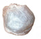 6 Gallon Garbage Bags, High Density: Clear, 6 MICRON, 20x22, 100 Bags....