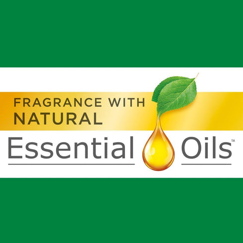 Air Wick Pure Freshmatic Refill Automatic Spray, Apple Cinnamon Medley, 1ct, Air Freshener, Essential Oil, Odor Neutralization, Packaging May Vary...