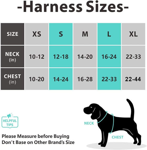PoyPet No Pull Dog Harness, Reflective Adjustable No Choke Pet Vest with Front & Back 2 Leash Attachments, Soft Control Training Handle for Small ...