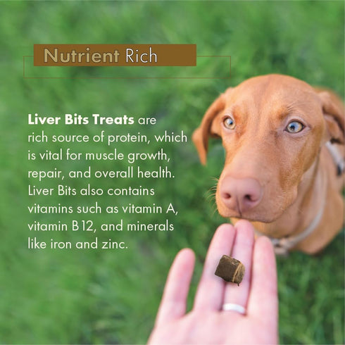 Liver Bits Treats for Dogs - Freeze Dried Training Treats - 100% Natural Raw Beef Liver - High in Protein 4 oz...