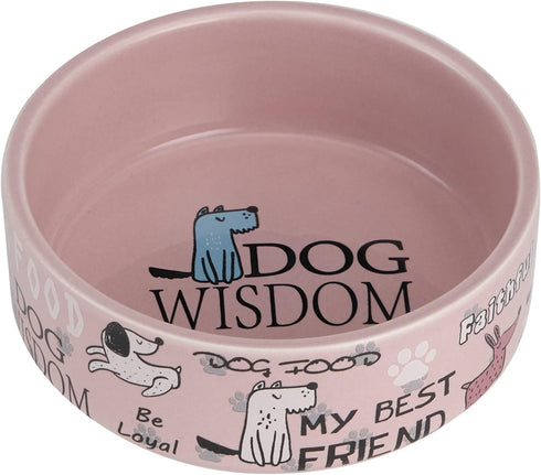 5-inch Ceramic Dog Bowl Cartoon Pattern, Cute, Chew-Proof, Dishwasher and Microwave Safe...