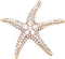 Rosemarie & Jubalee Women's Mermaid Chic Glittering Gold Tone Crystal Rhinestone Starfish Brooch Pin, 2"...