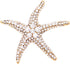 Rosemarie & Jubalee Women's Mermaid Chic Glittering Gold Tone Crystal Rhinestone Starfish Brooch Pin, 2"...