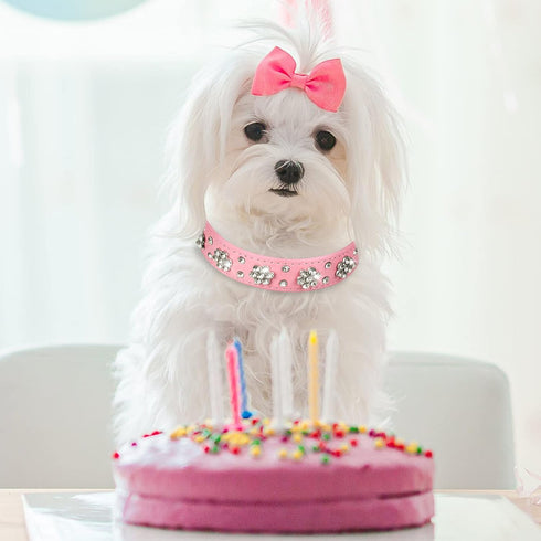 2 Pieces PU Leather Dog Collar Pink Rhinestone Pet Collar Flower Pattern Studded Dog Collar Adjustable Bling Puppy Collar PU Leather Crystal Pet C...