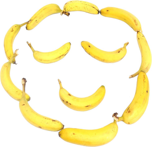 Gadjit Banana Hook (2 Pack) Hanger - Under Cabinet Hook to Hang Bananas. Folds Up Out of Sight When Not in Use. Mounting Adhesive Included. Preven...