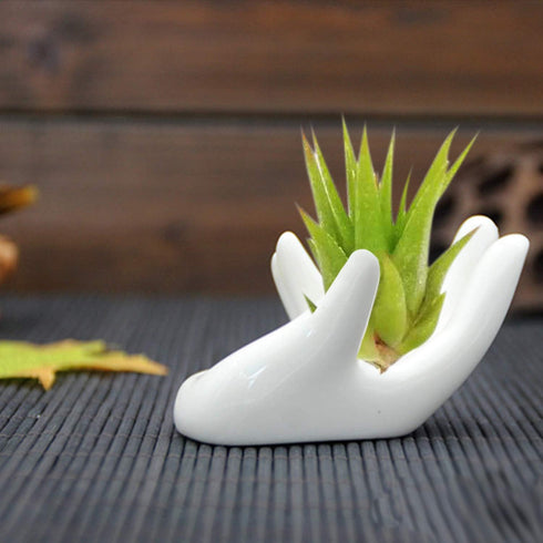 6 Pack Ceramic Air Plant Stand Holder, Hand Shape Tillandsia Airplant Container Pot Tabletop Plant Display Hand Racks for Home Office Decoration S...