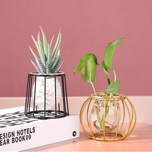 Glass Vase Nordic Small Flower Vase Clear Glass Bud Vases with Metal Geometric Iron Line Cup Vase Pot for Hydroponic Planter Flowers Rack Stand Mo...