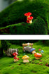 Fairy Garden Accessories Miniature Figurine Decoration for Mini Garden Micro Landscape Terrarium- 12 pcs Mushroom Mixed (12, Mushroom Mixed) (12, ...