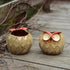 GeLive Owl Planter Ceramic Succulent Plant Pot Fun Animal Flower Container Decoration Tabletop Decor Windowsill Box with Drainage Hole (Round Owl ...
