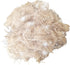 1.4 Oz Natural Bird Nesting Materials, Bird Nest Bedding Material, Great for Nest Building for Bird Small Animals...