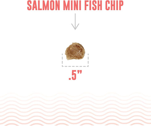 Icelandic+ Mini Fish Chips: Salmon 2.5oz - Dog Treats, for Training & Small Dogs, 2 Ingredient Air-Dried Crunchy Chips...