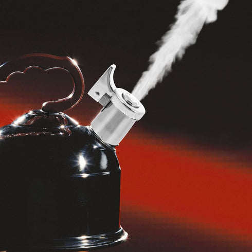 Luxshiny Tea Kettle Whistle Replacement Kettle Spout Tip Stainless Steel Teapot Whistle Water Boiling Kettle Nozzle Kettle Flutes Warning Accessor...