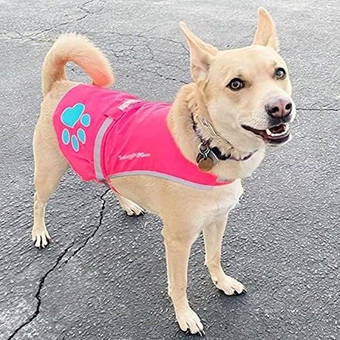 Dog Reflective Vest, Sizes to Fit Dogs 14 lbs to 130 lbs - SafetyPUP XD Hi Vis, Safety Vest Keeps Dogs Visible On and Off Leash in Both Urban and ...