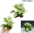 Smoothedo-Pets Fish Tank Decorations Aquarium Decor 5pcs Ornaments Betta Leaf pad Hammock Composite Plastic Artificial Plant Goldfish Waterscape F...