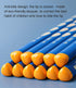 Triangular Fat Pencil - 12 Pack Thick, Strong, Jumbo Wood Pencils for Writing and Drawing, HB with Eraser and Sharpener...