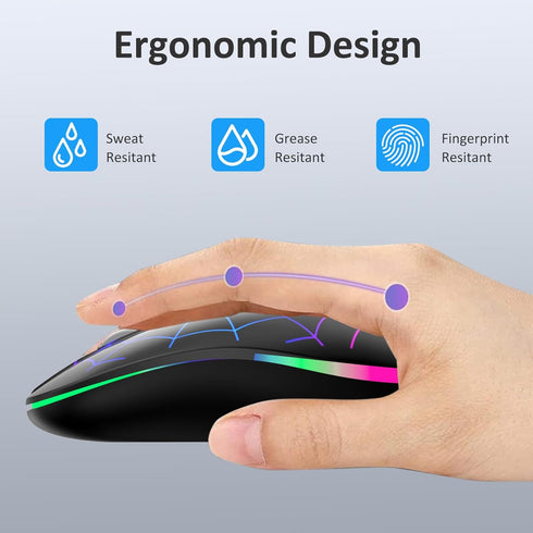TaIYanG Wireless Mouse, 2.4G Portable Optical Quiet Cute Mouse with USB Receiver and Type C Adapter, 3 Adjustable DPI LED Wireless Mouse for Lapto...