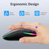 TaIYanG Wireless Mouse, 2.4G Portable Optical Quiet Cute Mouse with USB Receiver and Type C Adapter, 3 Adjustable DPI LED Wireless Mouse for Lapto...