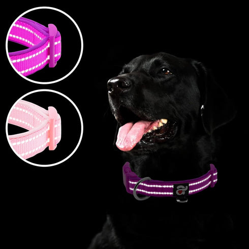 azuza 2 Pack Neoprene Padded Dog Collar for Small Dogs, Reflective Dog Collar with ID Tag Ring, Adjustable Safe and Comfy Dog Collars,Purple/Pink,...