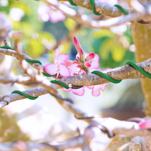 UTILE Armature Aluminum Wire 100 ft 18 Gauge 1.2 mm Anodized Craft Bendable Wire – Sculpting Metal Green Wire for Bonsai Trees, Clay, Crafts, Plan...