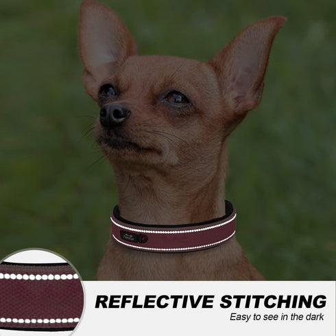 TwoEar Heavy Duty Dog Collar, Comfy Adjustable Soft Neoprene Padded Reflective Pet Collars with Metal Buckle for Small/Medium/Large Dog Breeds(S, ...