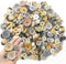 600 Pcs Resin Buttons Assortment Light Brown Buttons Gray Buttons for Crafts Tan Craft Buttons Bulk Assorted Sizes Buttons for Crafting Sewing DIY...