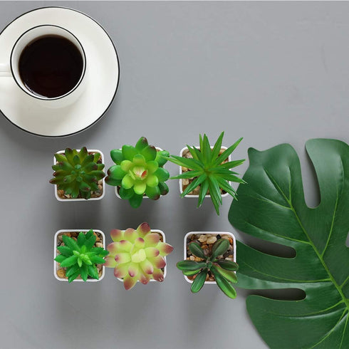 Nubry Mini Fake Succulent Plants Artificial Plastic Succulents Potted Faux Assorted Plants for Home Office Table Decoration, Set of 6 (White Plast...