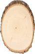 Walnut Hollow Basswood Round, Small 5-7" wide with Live Edge Wood (Pack of 1) - For Wood Burning, Home Décor, and Rustic Weddings...