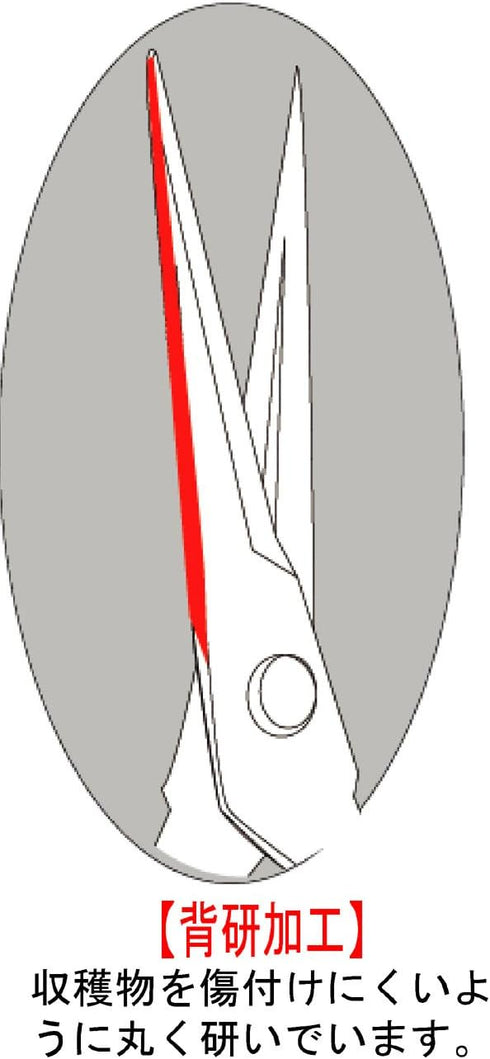 Harvesting Scissors T-500...