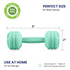 Baby Dumbbell Toy - Silicone Dumbbell Teether Toys Weight Rattle Sensory Toy for Babies - Great Gift for Baby and Toddler Girls or Boys (Mint)...