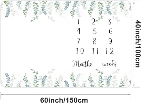 CSFOTO Baby Milestone Blanket 60''x40'' Eucalyptus Leaves Newborn Photography Props Blanket for Boy & Girl Personalized Shower Props Baby Age Blan...