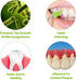 Durable Rubber Toothpick Dental Gum Massager & Stimulator - Premium Quality Gum Rubber Tip Refill for Proper Oral Care - Promotes Healthy Gums & S...