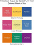 Spectrum Noir TriColour Brush Nib Watercolour Markers Colouring Pack of 3 - Unique 3-in-1 Blendable Colour Shade Effect - Colour Basics...