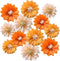 12pcs 10in 12in Paper Flowers Tissue Flowers Pom Paper Pom Poms Hanging Paper Flowers Wall Backdrop Wedding Party Flower Decorations DIY Art Craft...